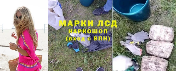 гидра Алексеевка