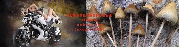 меф VHQ Саяногорск