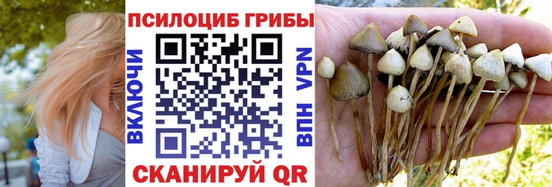 omg ТОР  Томмот  Галлюциногенные грибы GOLDEN TEACHER  закладка 